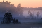 © Sven Začek - © Sven Začek -