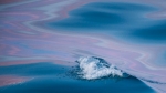 © Roy Mangersnes - © Roy Mangersnes -