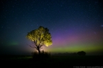© Sven Začek - Mixed lights. Night sky with aurorae and contra flash Nikon D810A + Nikkor 14-24mm F2,8 @ 14mm + Nikon SB-910 flash. F2,8, 20s, ISO 4000. 