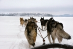 &copy; Eneli Rahula -  