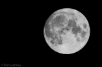 © Triin Leetmaa - Tālskatis nav domāts tikai putnu vērošanai. Nākamā iespēja redzēt pilnmēnesi Ziemassvētkos būs tikai 2034.gadā. Nikon D800, EDG 85A + FSA-L2 @1750 mm; F21; 1/80s; ISO400 © Triin Leetmaa - Tālskatis nav domāts tikai putnu vērošanai. Nākamā iespēja redzēt pilnmēnesi Ziemassvētkos būs tikai 2034.gadā. Nikon D800, EDG 85A + FSA-L2 @1750 mm; F21; 1/80s; ISO400