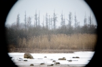 © Triin Leetmaa - Līdz par 800mm attēls, ko redzat tālskatī, nenoklās visu kameras matricu. Attēla kvalitāte tā malās pasliktinās. Nikon D800, EDG 85A + FSA-L2 @500mm; F5,9; 1/15s; ISO100 © Triin Leetmaa - Līdz par 800mm attēls, ko redzat tālskatī, nenoklās visu kameras matricu. Attēla kvalitāte tā malās pasliktinās. Nikon D800, EDG 85A + FSA-L2 @500mm; F5,9; 1/15s; ISO100