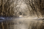 &copy; Vladimir Oja -  D800 + AF-S NIKKOR 300mm f/4E PF ED   VR ISO100; 1/80; f/8