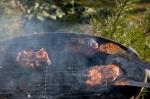 © Merili Reinpalu - © Merili Reinpalu -
