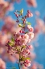 © Toomas-Vahur Lihtmaa - fookuskaugus 50mm, säriaeg 1/5000, ava F1,4, tundlikkus ISO 100, pildistatud kaameraga Nikon D500, objektiiviga AF-S NIKKOR 50mm f/1.4G. © Toomas-Vahur Lihtmaa - fookuskaugus 50mm, säriaeg 1/5000, ava F1,4, tundlikkus ISO 100, pildistatud kaameraga Nikon D500, objektiiviga AF-S NIKKOR 50mm f/1.4G.