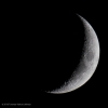 © Toomas-Vahur Lihtmaa - fookuskaugus 700mm, säriaeg 1/20, ava F10, tundlikkus ISO 100, pildistatud kaameraga Nikon D500, objektiiviga AF-S NIKKOR 200-500mm f/5.6E ED VR + AF-S telekonverter TC-14E II. © Toomas-Vahur Lihtmaa - fookuskaugus 700mm, säriaeg 1/20, ava F10, tundlikkus ISO 100, pildistatud kaameraga Nikon D500, objektiiviga AF-S NIKKOR 200-500mm f/5.6E ED VR + AF-S telekonverter TC-14E II.