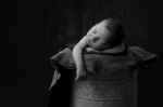 © Melanie East - © Melanie East -