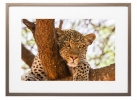 © Memento Smart Frame - © Memento Smart Frame -