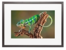 © Memento Smart Frame - © Memento Smart Frame -