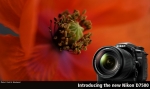 © Nikon - © Nikon -