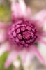 © I AM Photographer -  