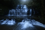 © Nikon - © Nikon -