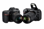 &copy; I AM Photographer -  