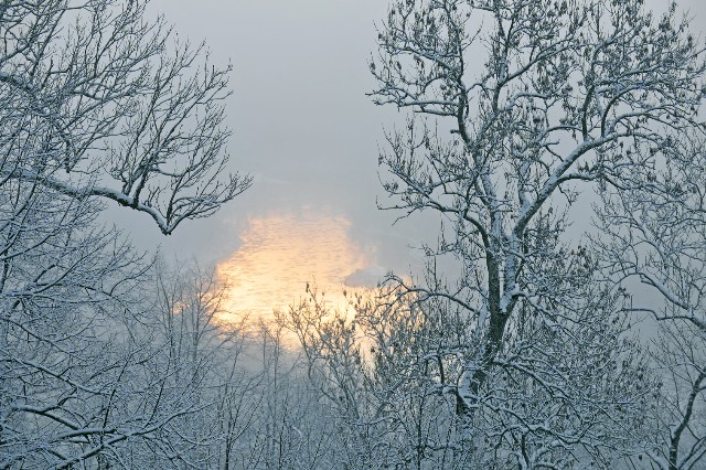 mist